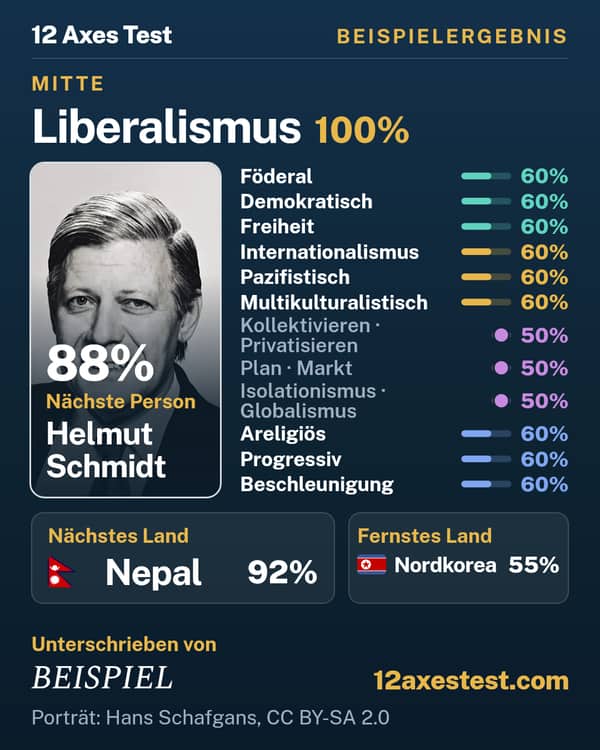 Beispielergebnis aus dem 12 Axes Test: Liberalismus, Mitte
