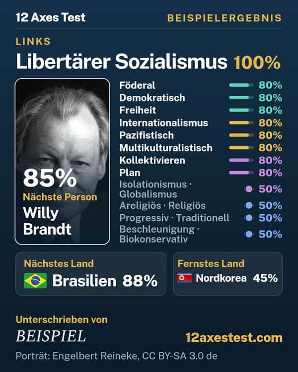 Beispielergebnis aus dem 12 Axes Test: Libertärer Sozialismus, Links