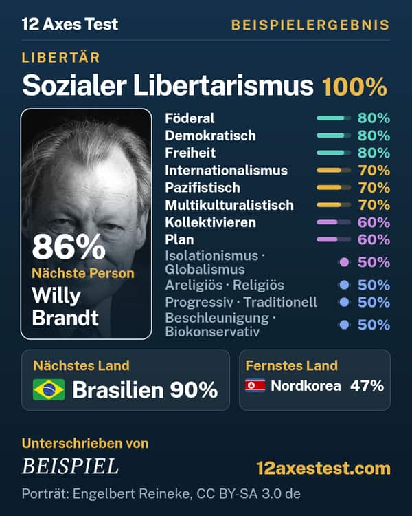 Beispielergebnis aus dem 12 Axes Test: Sozialer Libertarismus, Libertär