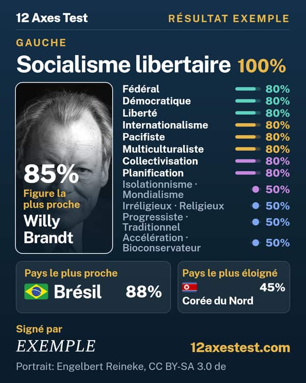 Résultat exemple 12 Axes Test : Socialisme libertaire, gauche