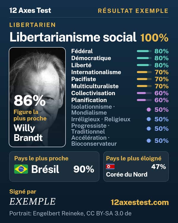 Résultat exemple 12 Axes Test : Libertarianisme social, libertarien