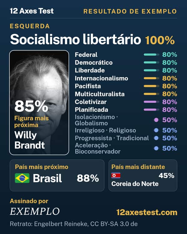 Resultado de exemplo do 12 Axes Test: Socialismo libertário, esquerda